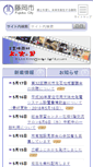 Mobile Screenshot of city.fujioka.gunma.jp